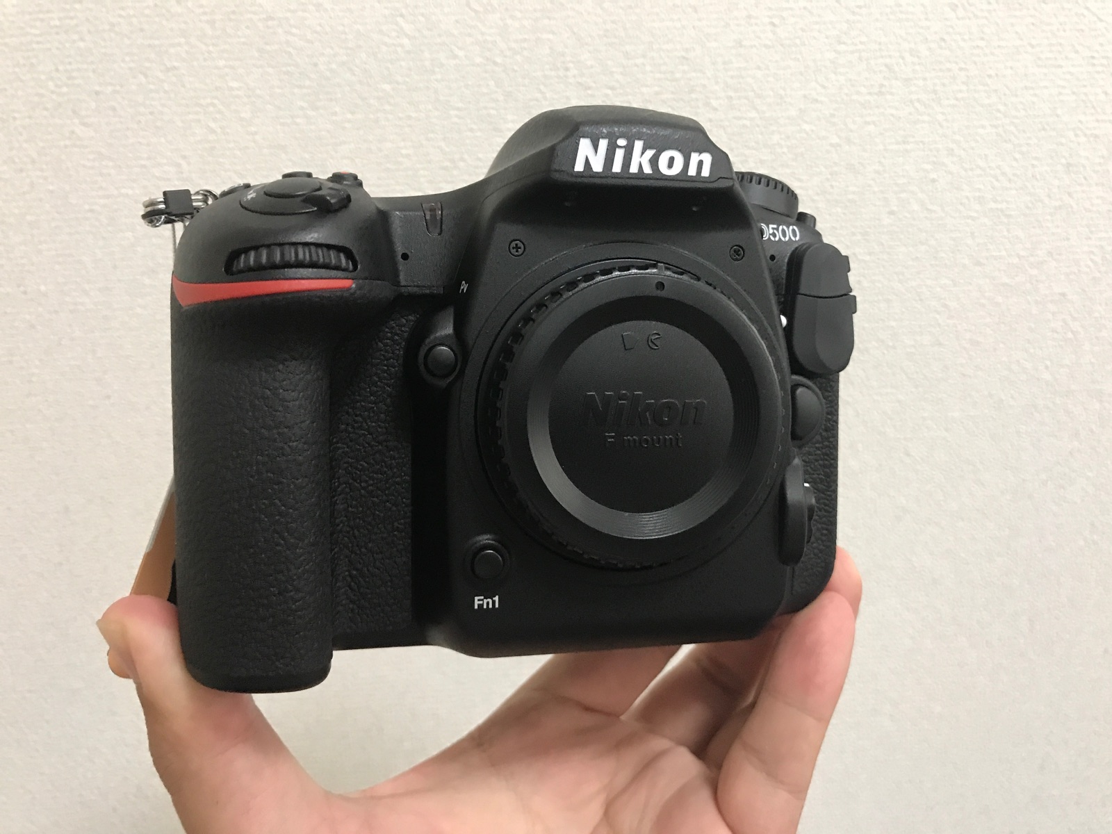 一眼レフ】Nikon D500を購入しました | フリーランス編集者・ライター 